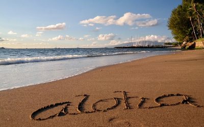 Capturing the Spirit of Hawaii