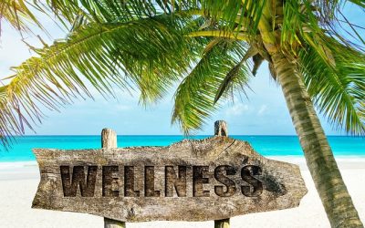 A 90 Minute Holiday from Life’s Demands